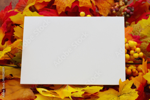 Blank Autumn Card