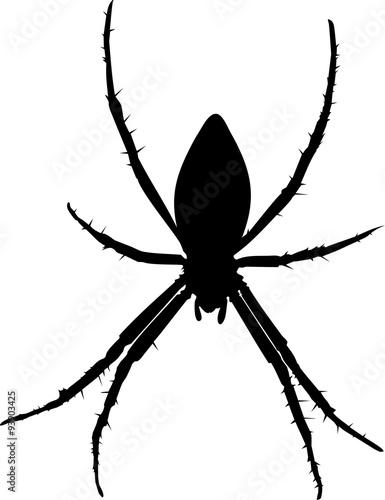 Silhouette of wasp spider