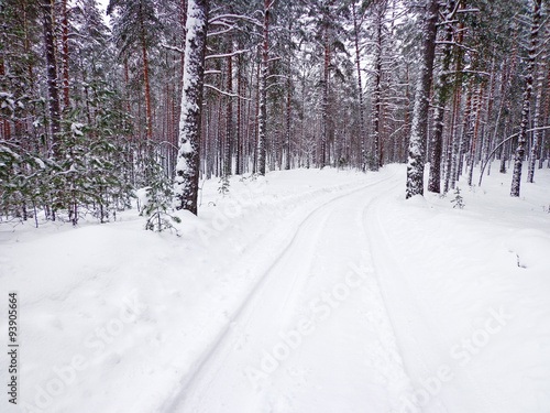 Winter road © Leoco