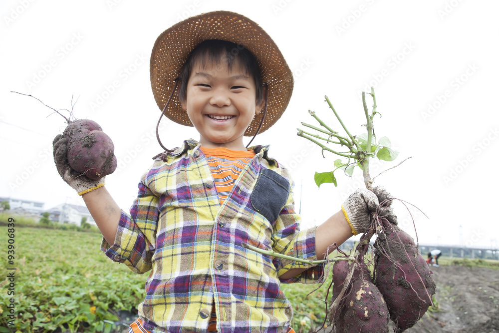 芋ほりする子供