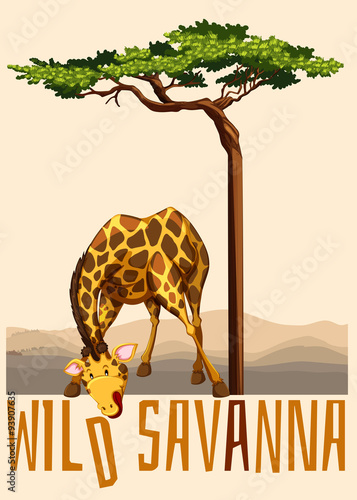 Wild Savanna theme with giraffe and tree