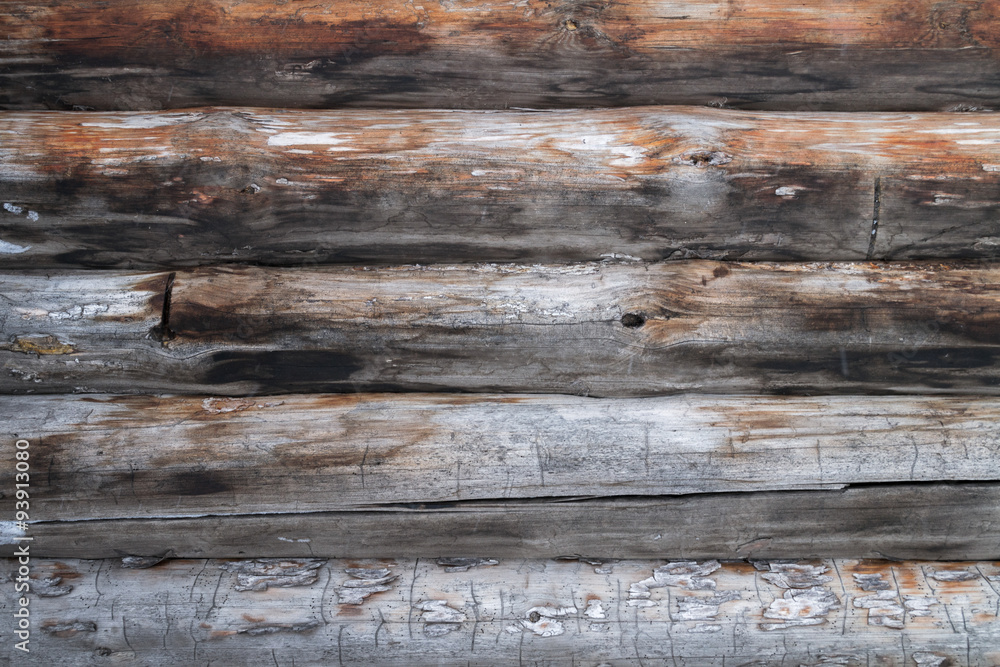 Obraz premium the background wood