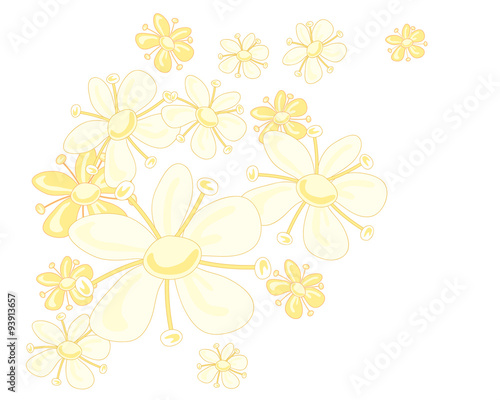 Bilde på lerret elderflower