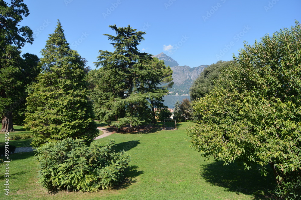 Obraz premium giardino pubblico lago di como