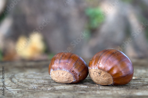 Castagne Compo 20