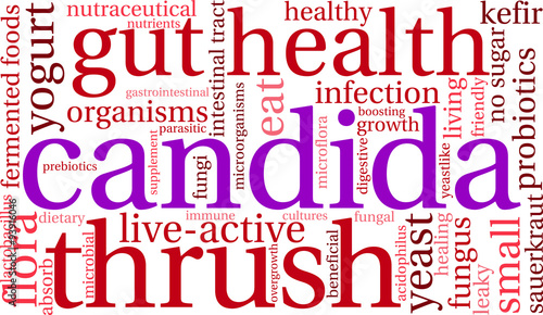 Candida Word Cloud