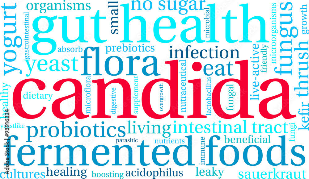 Candida Word Cloud Candida Word Cloud