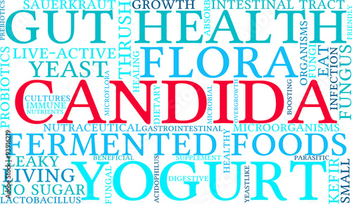 Candida Word Cloud