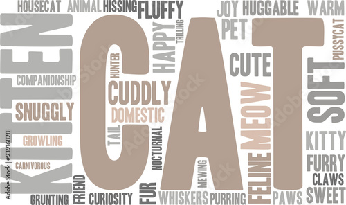 Cat Word Cloud