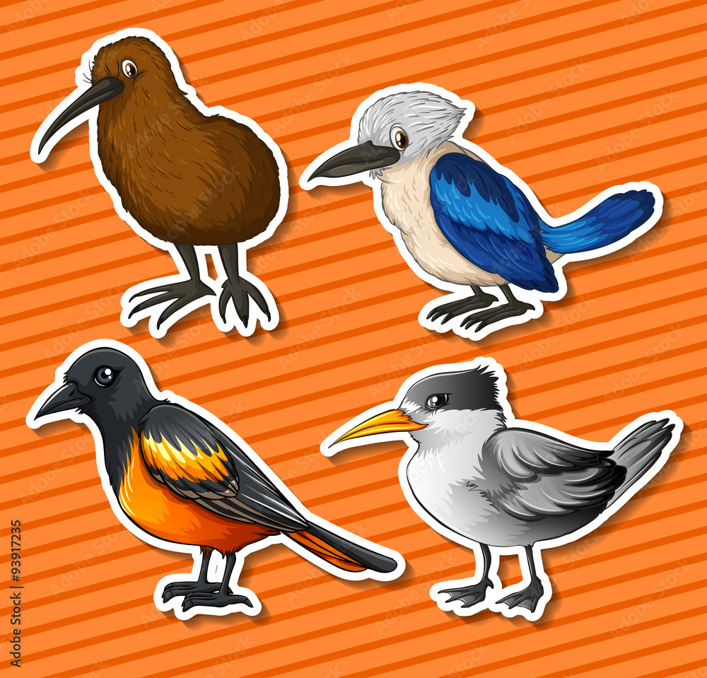 Obraz premium Different kind of birds