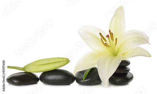 White lily and stones