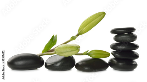 Massage stones and lily bud