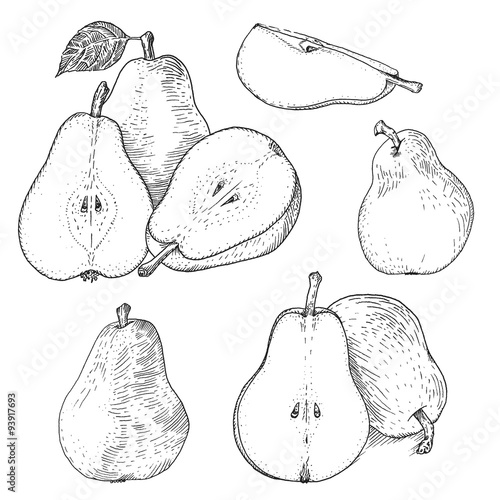 Ink pears sketches set