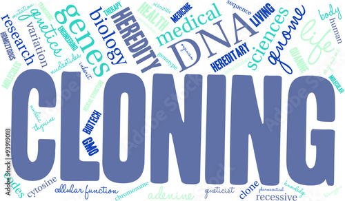 Cloning Word Cloud
