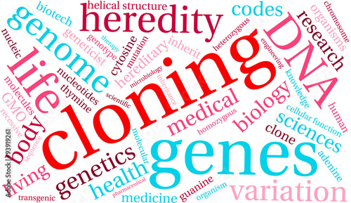 Cloning Word Cloud