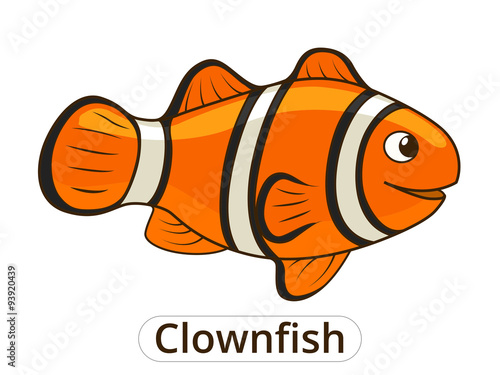 Clownfish sea fish cartoon illustration 