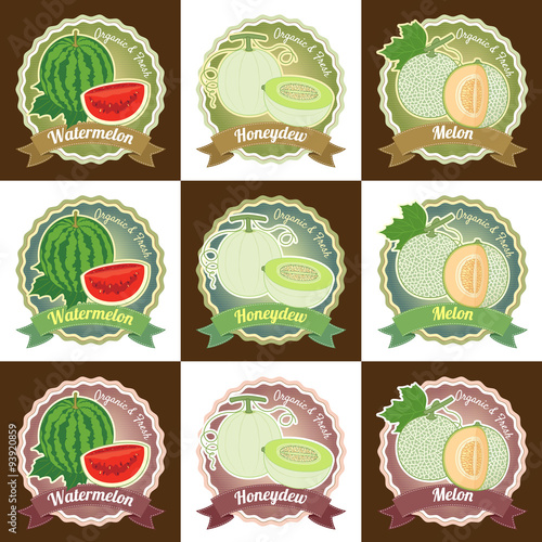 Set of various fresh melon fruit premium quality tag label badge sticker and logo design in vector
