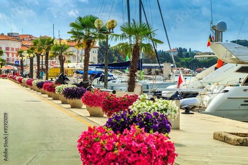 Stunning colorful flowers and promenade,Porec,Istria region,Croatia,Europe photo