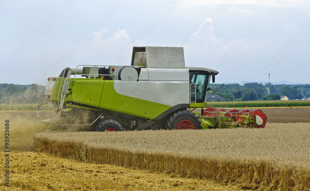 Fototapeta premium Mähdrescher bei der Kornernte