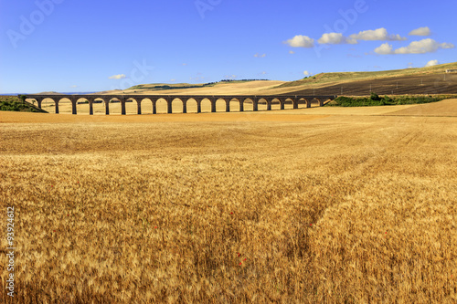 Canvas-taulu Summer rural landscape: railway bridge on the wheat field