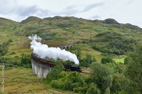 Gleanfinnan viaduct and steam train