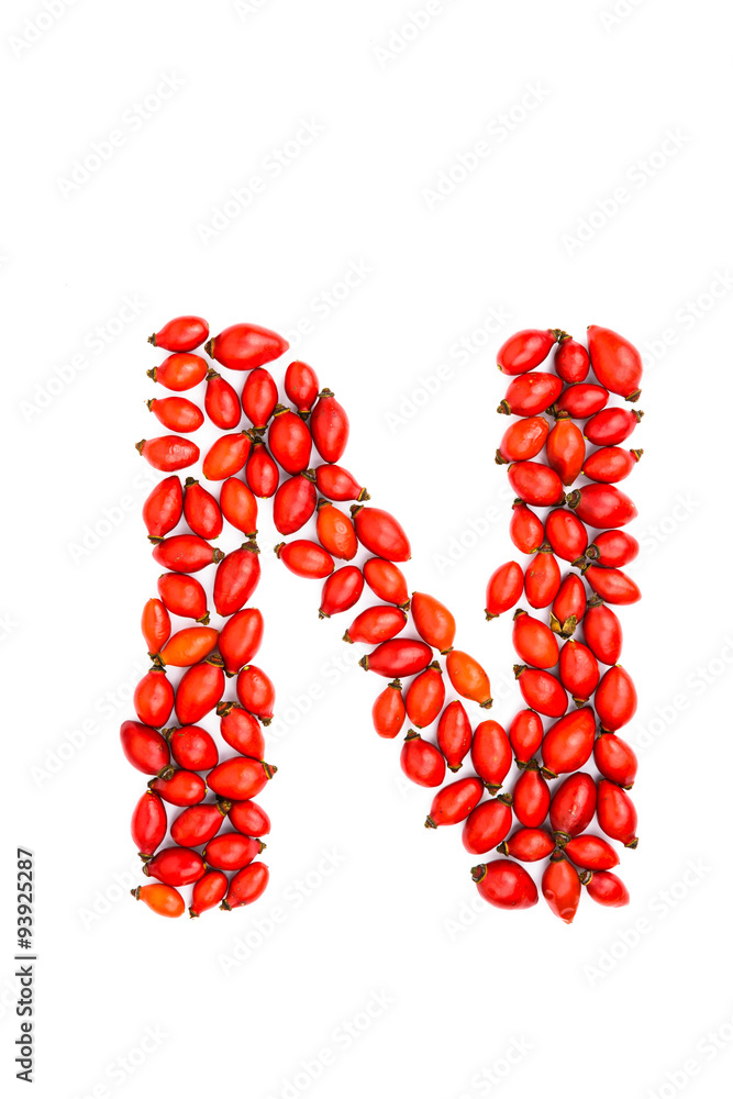 Red hip rose capital letter n Red hip rose capital letter n