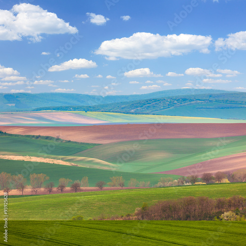 Colorful Landscape of fields in countryside - different colors