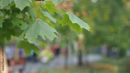 people walking in autumn park 