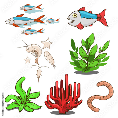 Water animals fish food vector illustration