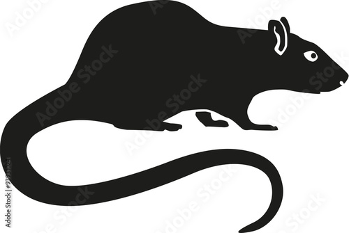 Rat with long tail