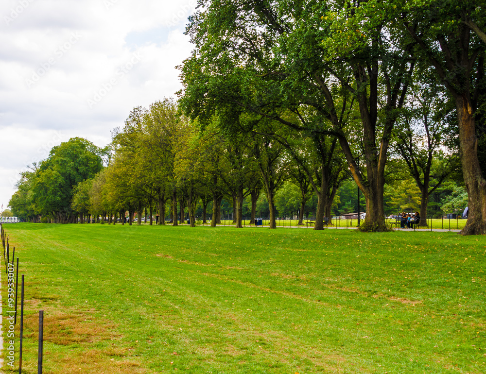 Green Field