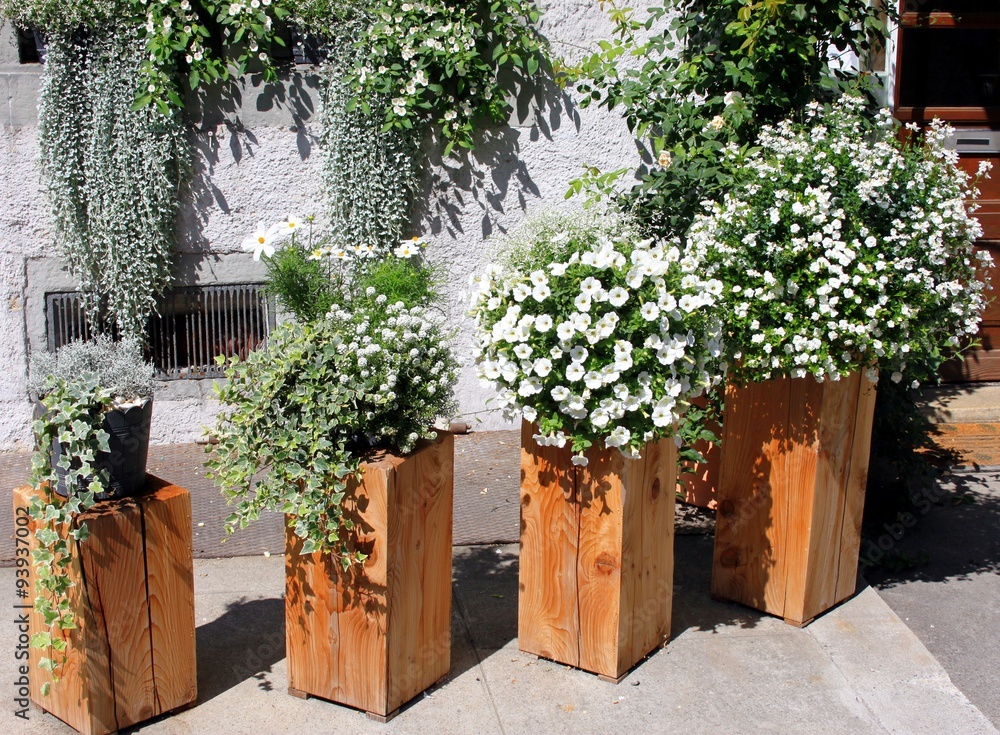 Sommerblumen im Kübel StockFoto Adobe Stock