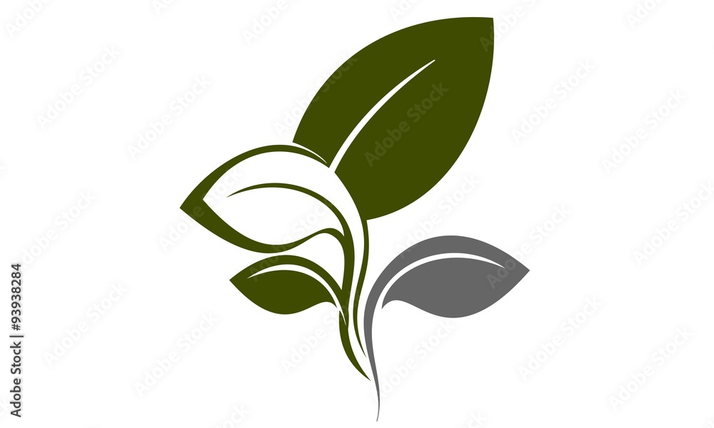 leaf leaf