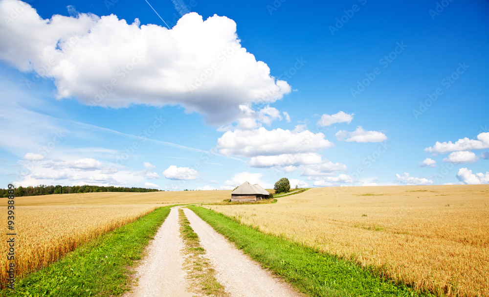 Countryside road through field