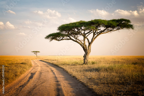 Obraz na plátně African Landscape - Tanzánie