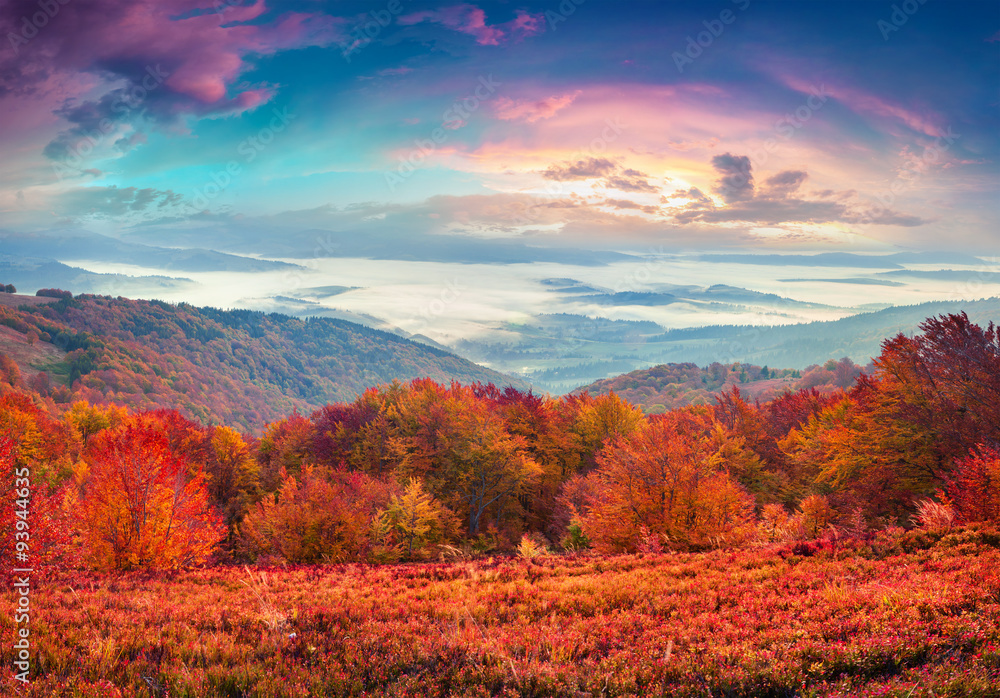 Fantastic colors autumn landscape in the Carpathian mountains.