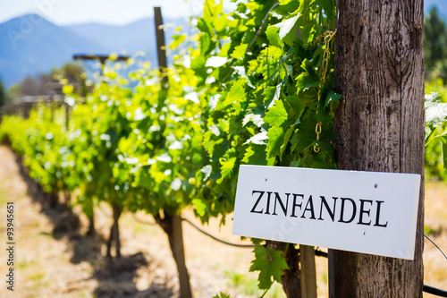 Photos Vineyard Grape Growing