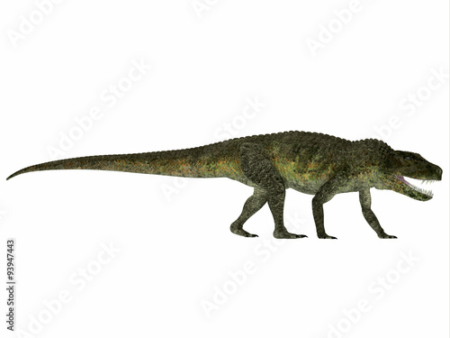 Postosuchus Reptile Profile - Postosuchus was a aquatic predatory reptile that lived in North America in the Triassic Period. © Catmando