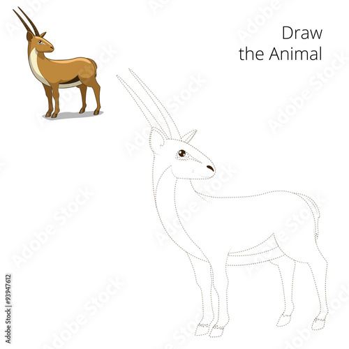 Draw animal gazelle educational game  © Oleksandr Pokusai