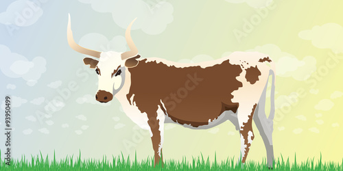Longhorn Cow Background