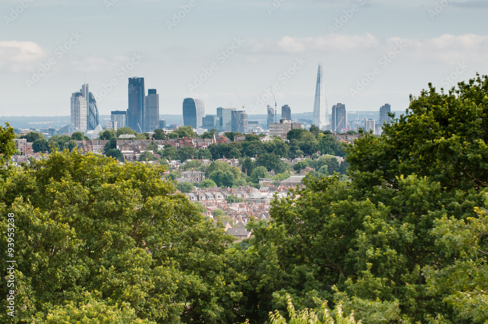 Obraz London city skyline from a distance