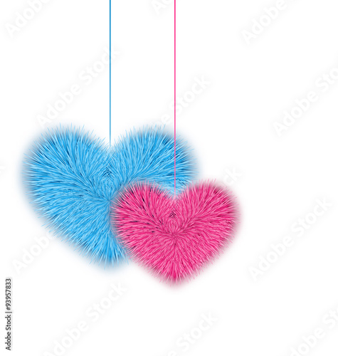 Fur pink and blue hearts for Valentines Day isolated on white ba
