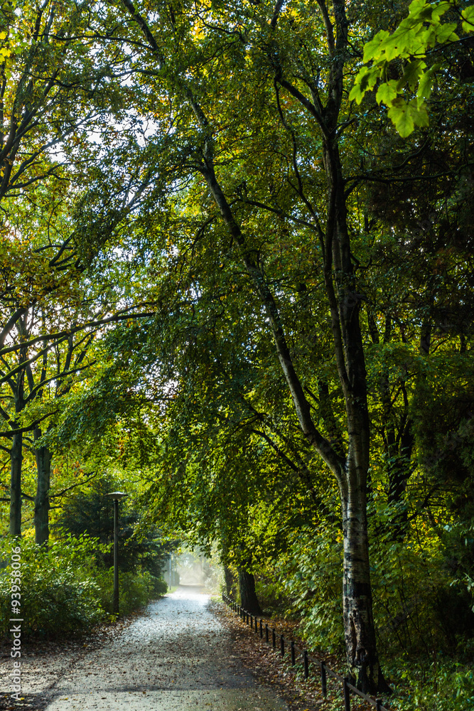 Naklejka premium Lindenpark in Rostock