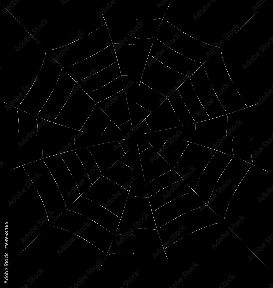 Obraz premium Trap Spider Web