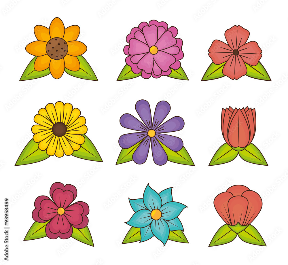 Flowers and floral design. Flowers and floral design.