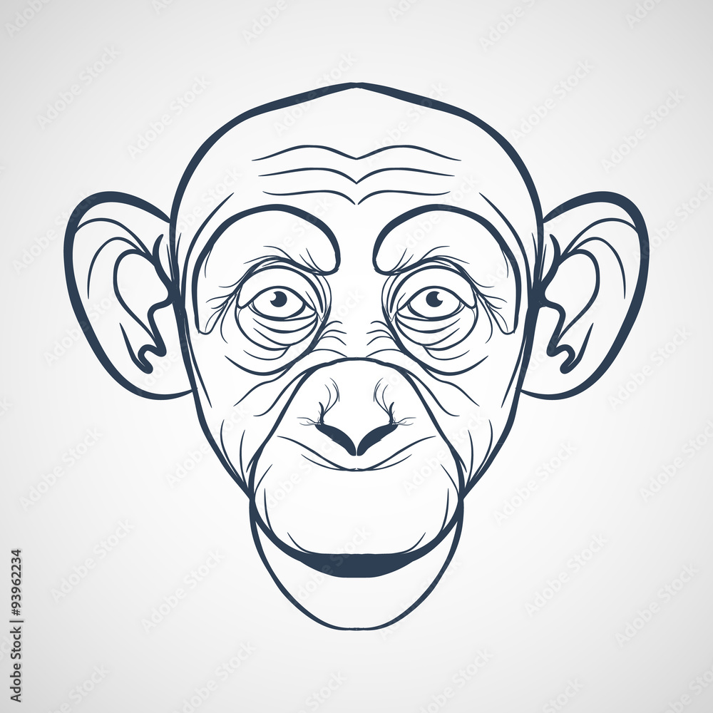 Monkey vector Monkey vector