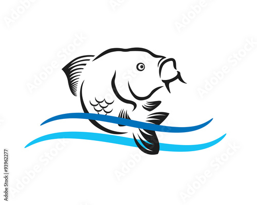 fish jump