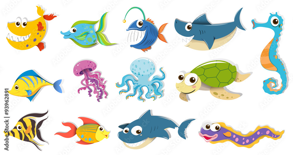 Different kind of sea animals Different kind of sea animals