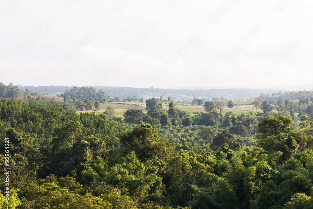 Thailand upcountry nature view of field and mountain for natural background Thailand upcountry nature view of field and mountain for natural background
