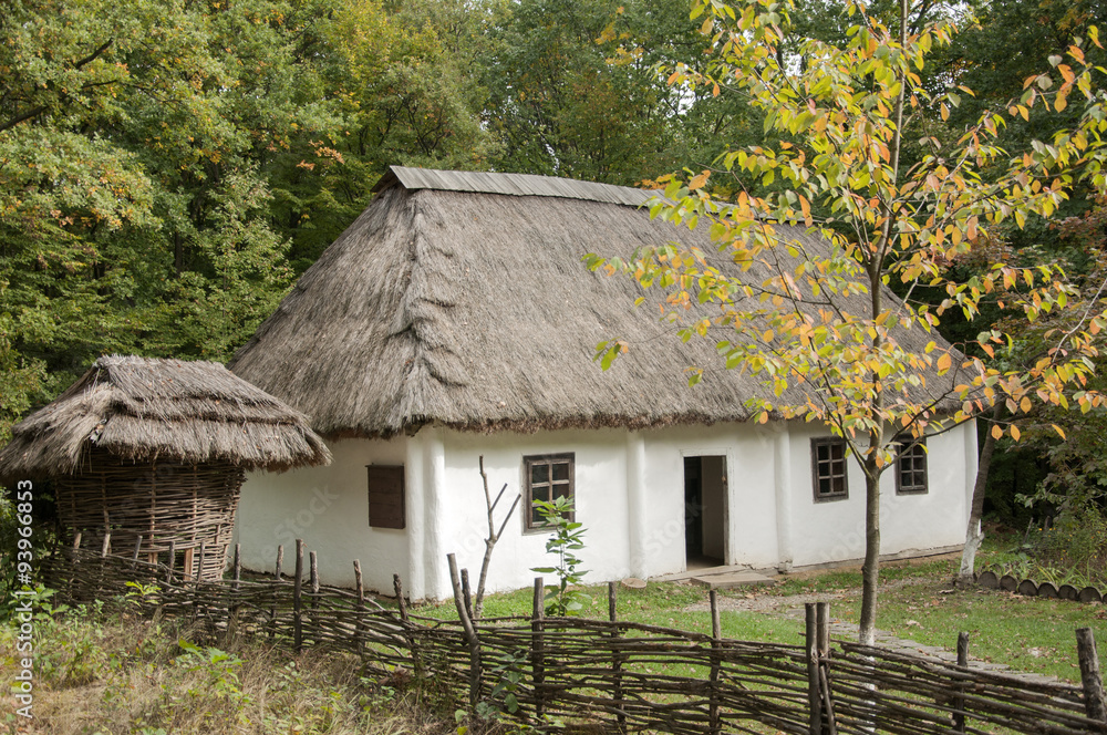  Old house with thatched roof in forest